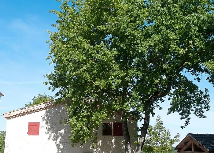 Du Domaine D'orion Castelnau-sur-lʼAuvignon